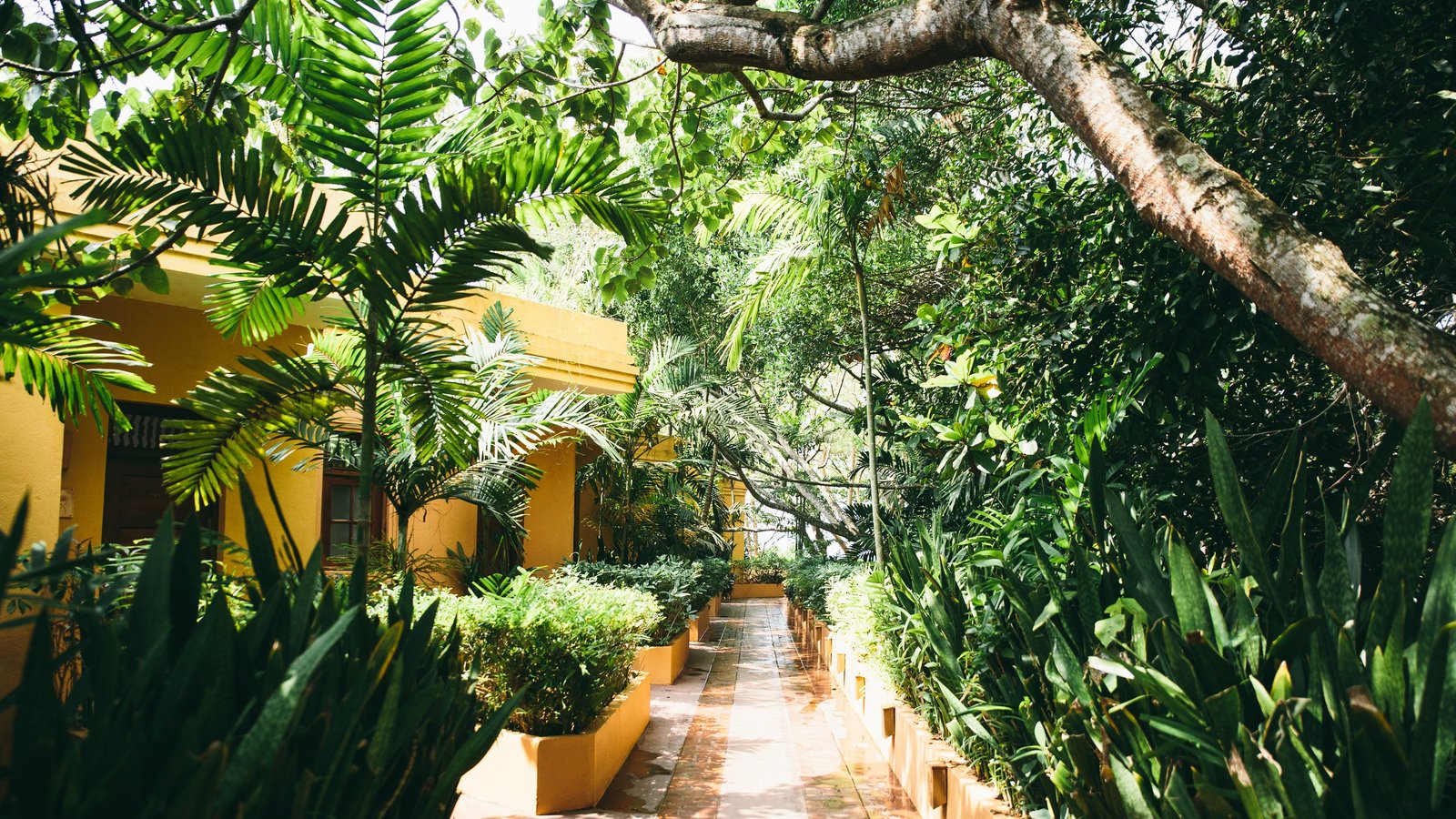 Barberine Beach Ayurveda Resort, Sri Lanka Spa Reviews