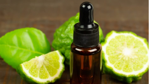 Bergamot Essential Oil Diffuser Blend: Best Citrus Aroma Pairing Guide Revealed