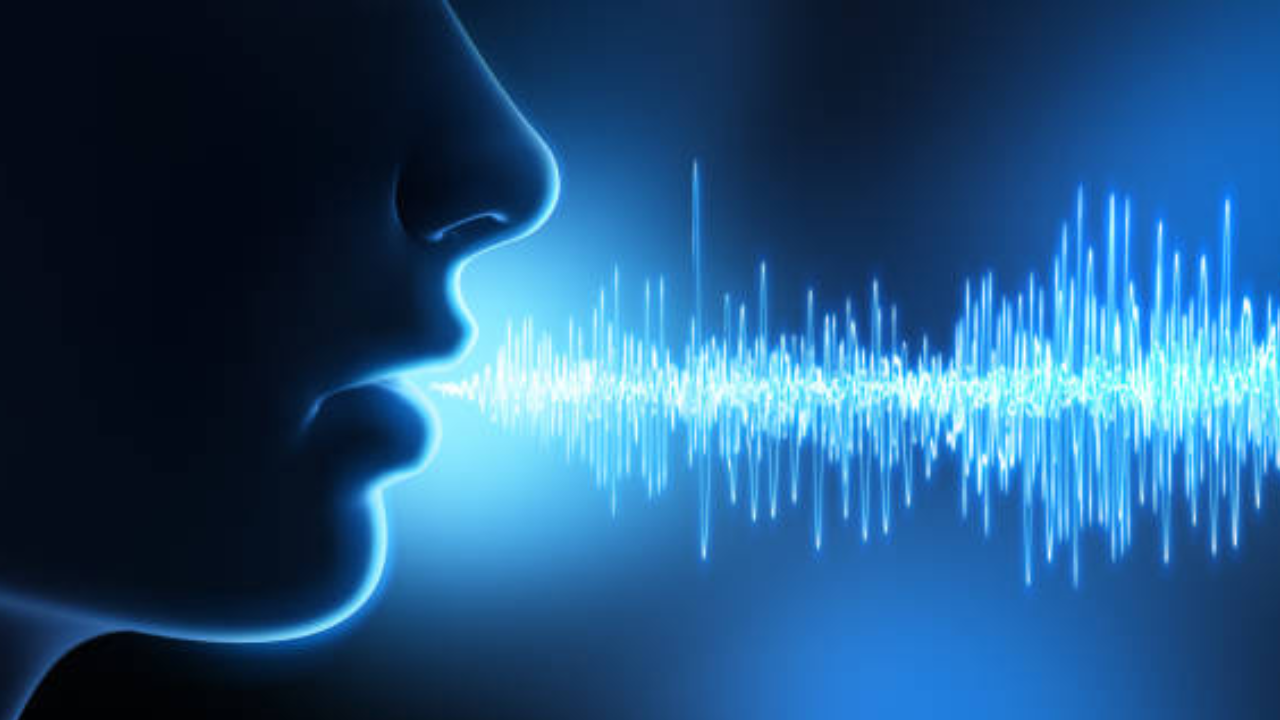 Vocal Wellness: How to Make Your Voice Resonate, Educate, and Celebrate It