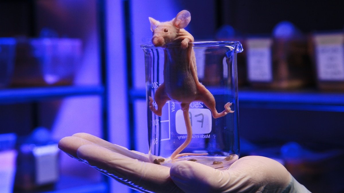 Can vitamin D help fight cancer?