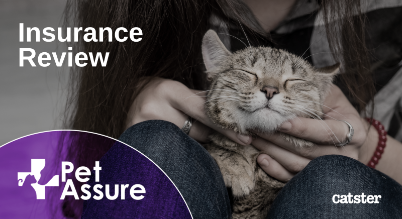 Pet Assure Insurance Mint Wellness Plan Review 2024: Details