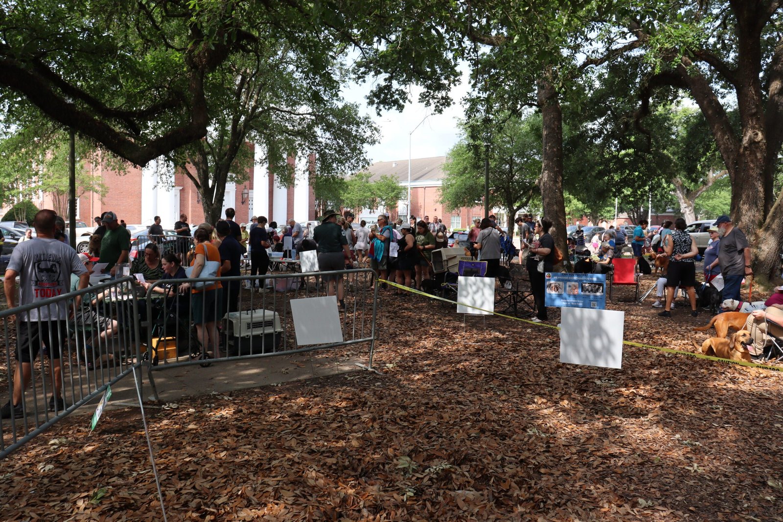 China SPCA holds wellness event for pets at Jack Reed Park – Picayune item