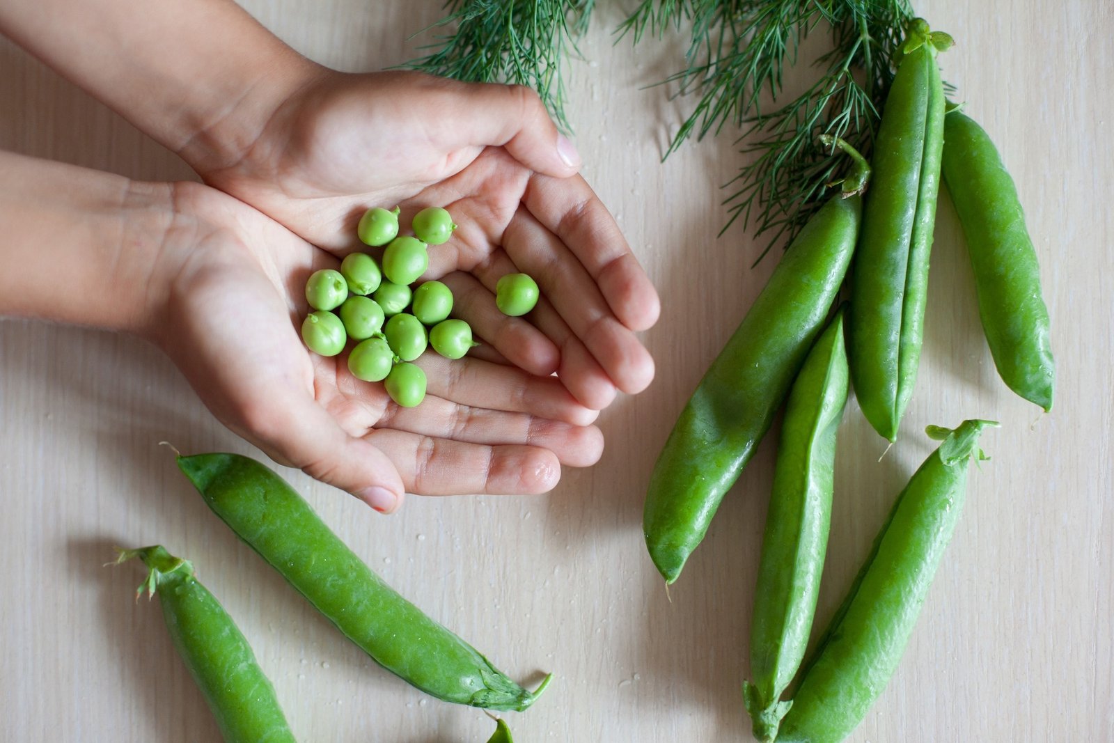 Early legume intake is associated with improved nutritional status in young children