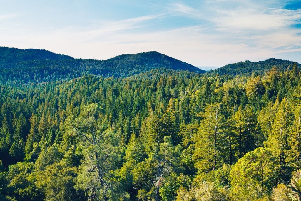 Nutrient lacking in young people: Vitamin N