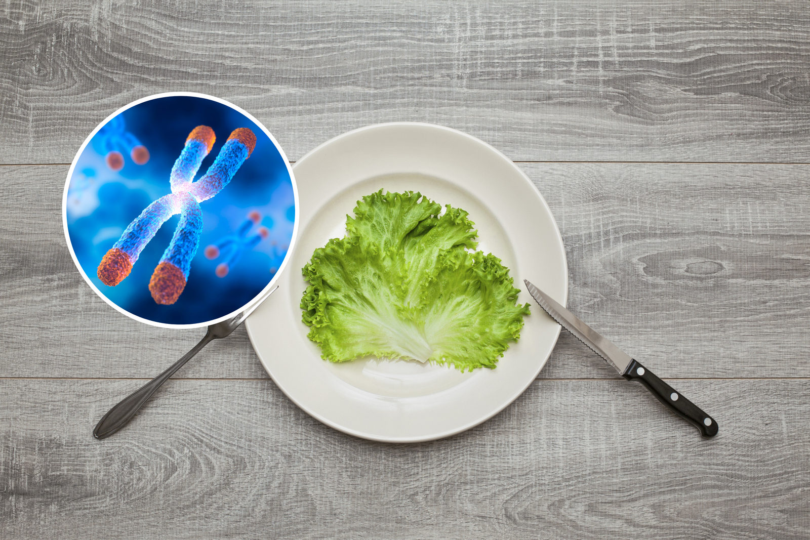 Low-calorie diets have unexpected effects on aging