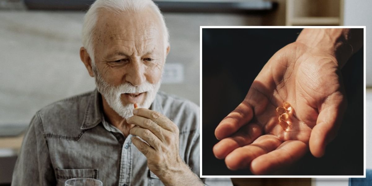 Vitamin D can enhance brain memory