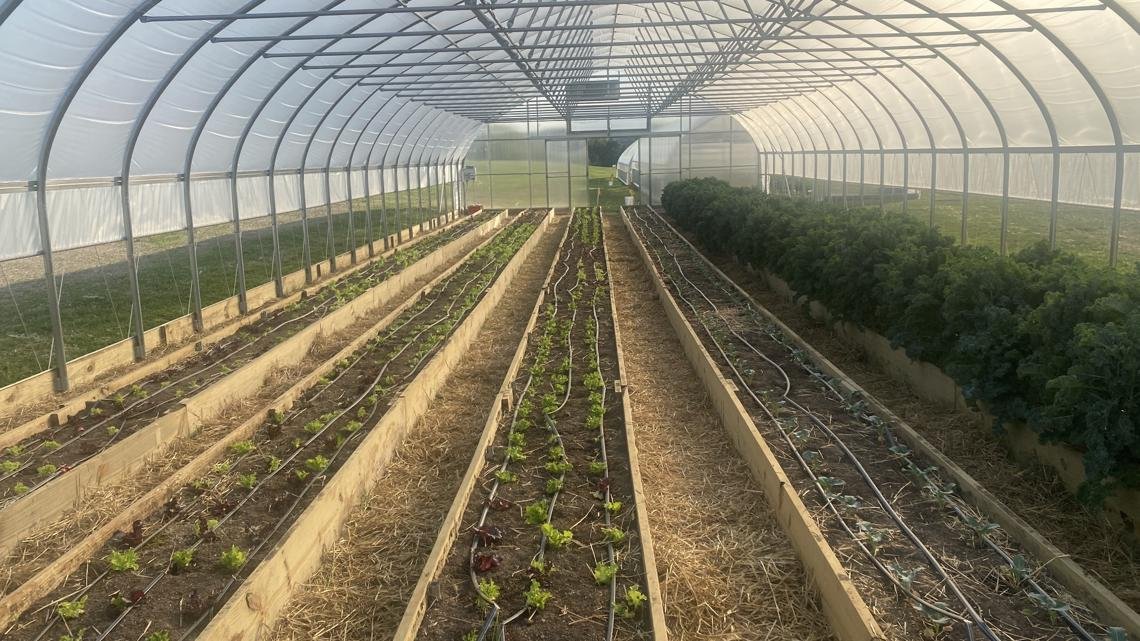 UPMC Memorial Hospital operates full-time farm on campus to promote health