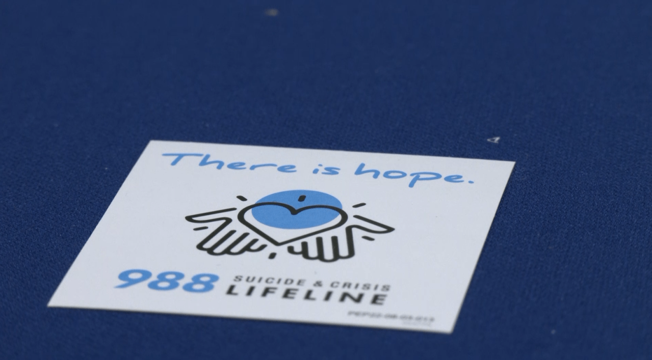 Mental Health and Wellness Summit in East Lansing