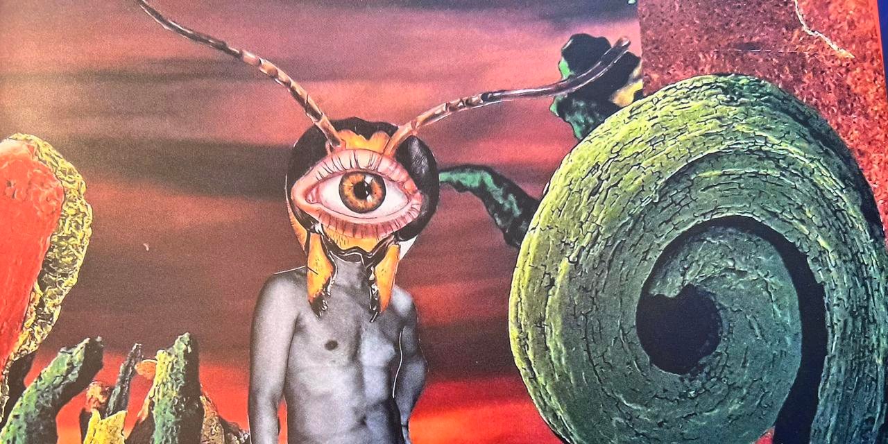 Exploring the intersection of spirituality and social work: Savannah Rosen’s journey