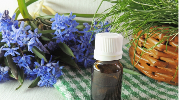 Spring Aromatherapy Essential Oil Blend for Anxiety: Diffuser Recipes Now Available