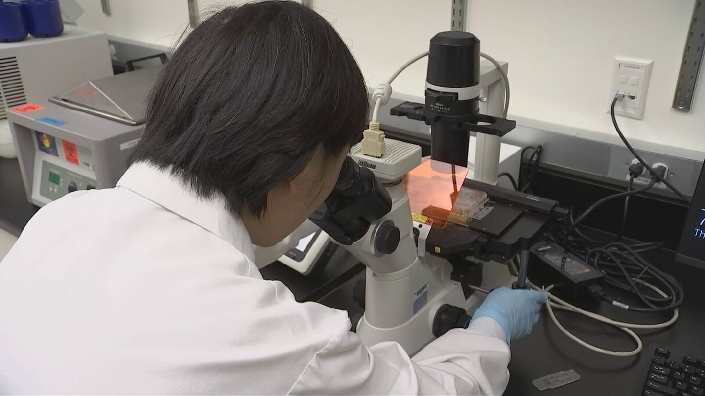 Anti-aging drugs may suppress cancer – KIRO 7 News Seattle