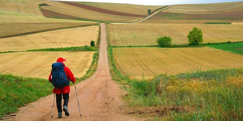 Camino provides a path to the director’s spiritual journey