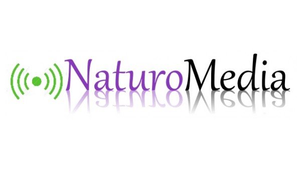 Content Marketing for Naturopathic Doctors in Calgary: SEO Alternative Solutions Available