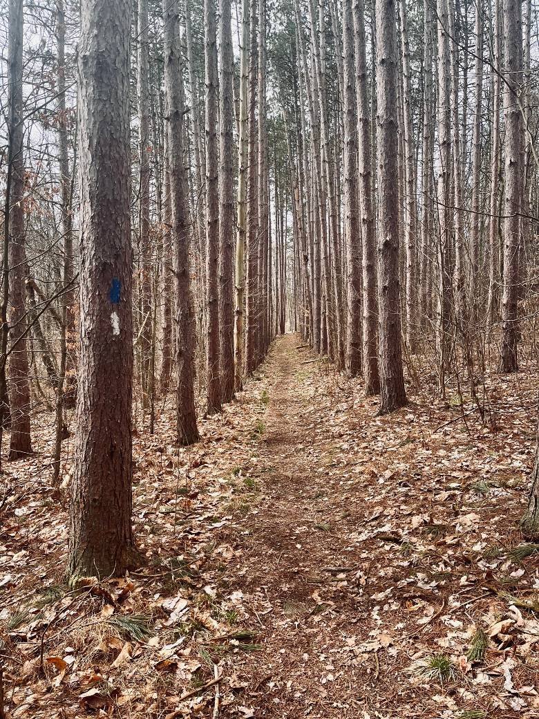 Why religion needs more spirituality