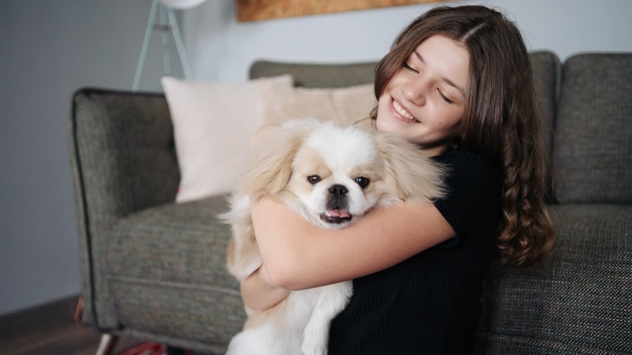 8 ways to keep your pet healthy