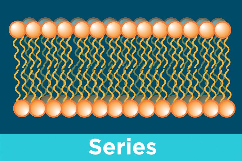 Macrominerals: exploring the role of inorganic macronutrients