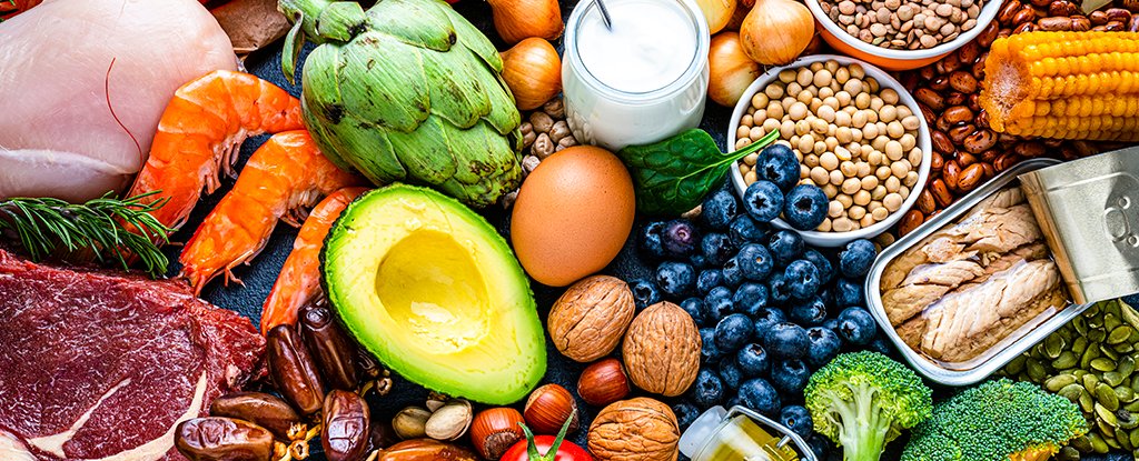 Scientists discover key food nutrient that slows brain aging: ScienceAlert