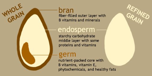 Whole Grains – The Nutrition Source