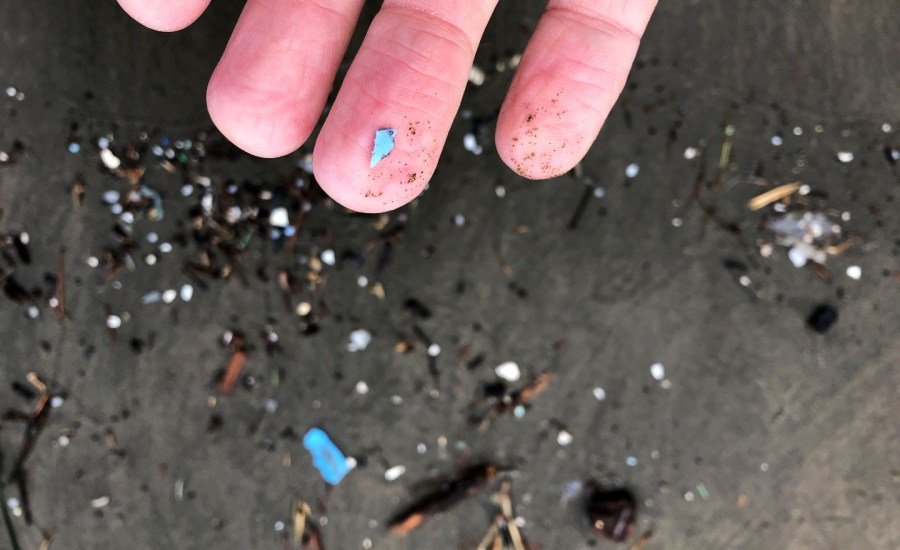 Microplastics ‘infested’ in human testicles: new study