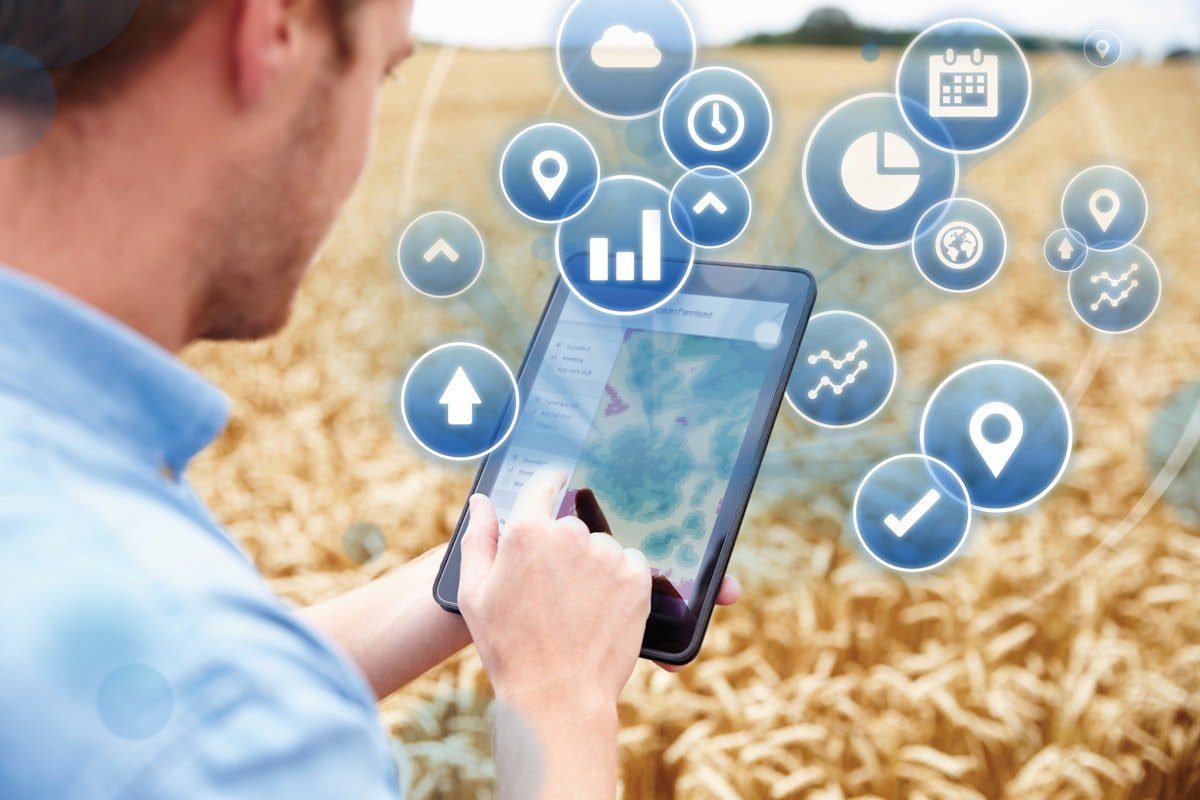 How nutrition contributes to animal welfare and sustainability