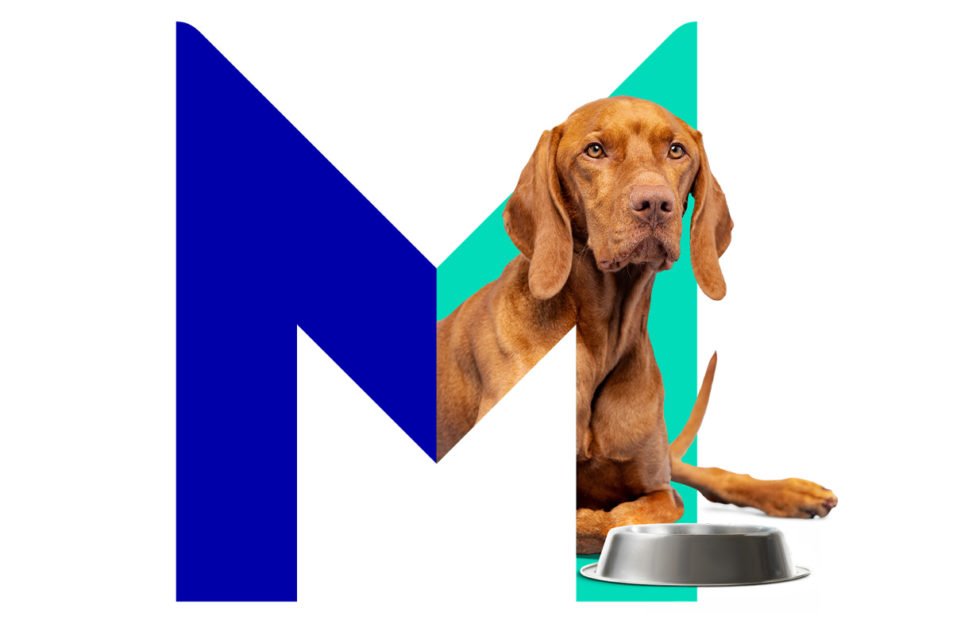 Mars Pet Nutrition on a mission to create ‘A Better World for Pets’