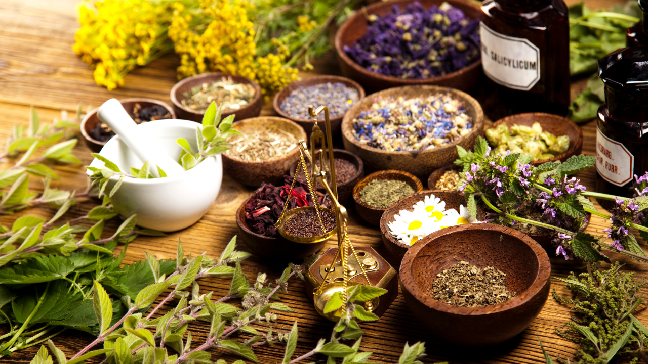 Uncovering therapeutic potential: Ayurveda’s profound impact on dementia treatment