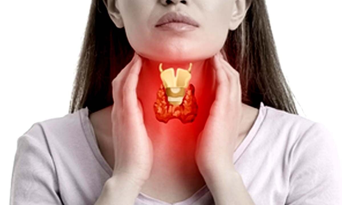 Poor Memory and Attention? Vitamin B12 Deficiency and Hyperthyroidism May Cause