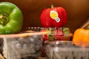 Virginia Tech Researchers Advance Nutrition Science