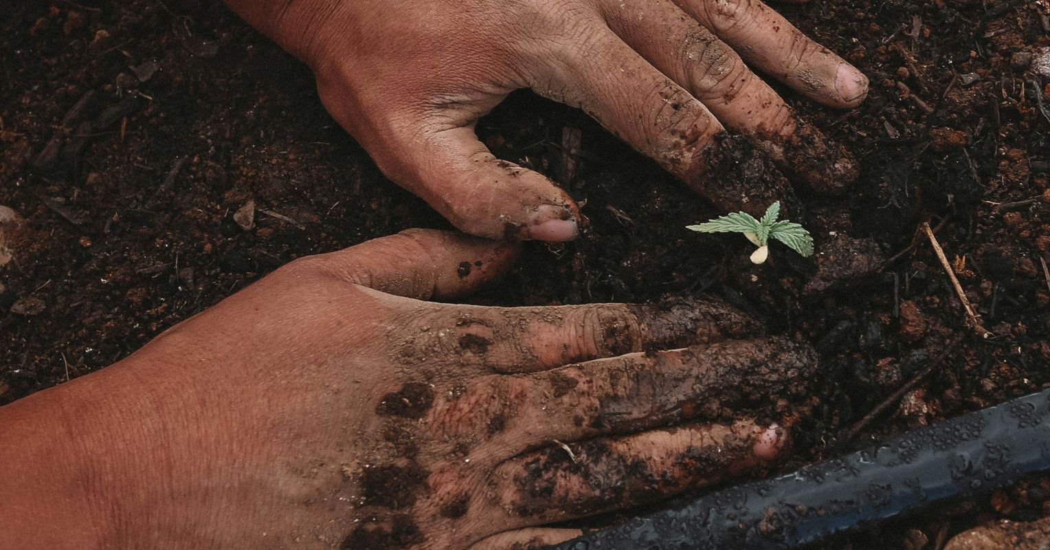 4 ways to incorporate spirituality into your work