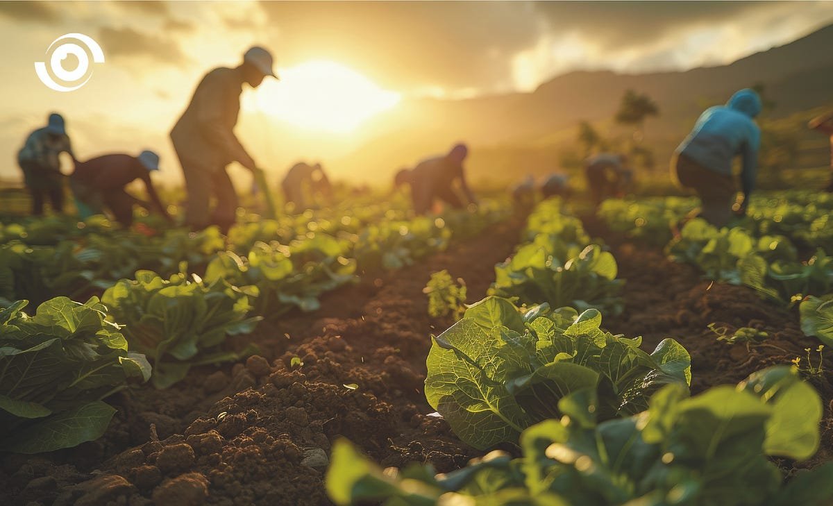 Addressing nutrition challenges through collaborative initiatives | Nigeria Health Watch | June 2024