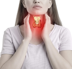 Poor Memory and Attention? Vitamin B12 Deficiency and Hyperthyroidism May Cause