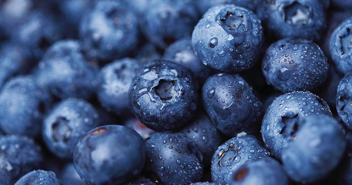 Cooking column: The nutritional benefits of blueberries | Columnist