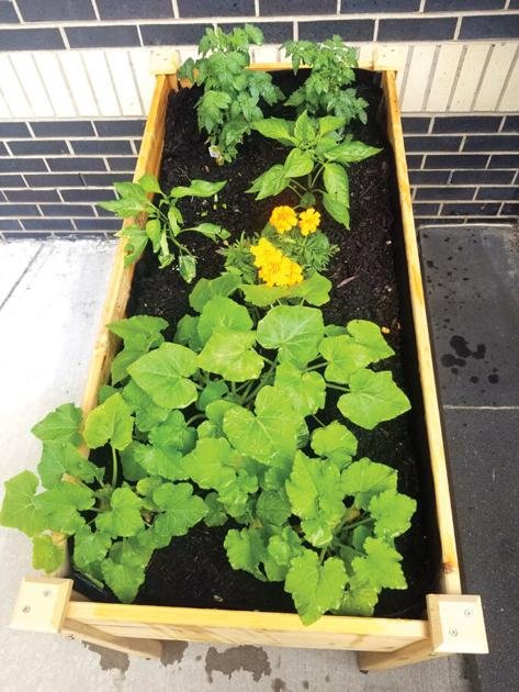 Literacy and Community Health: HSLEAPS Celebrates 20 Years |