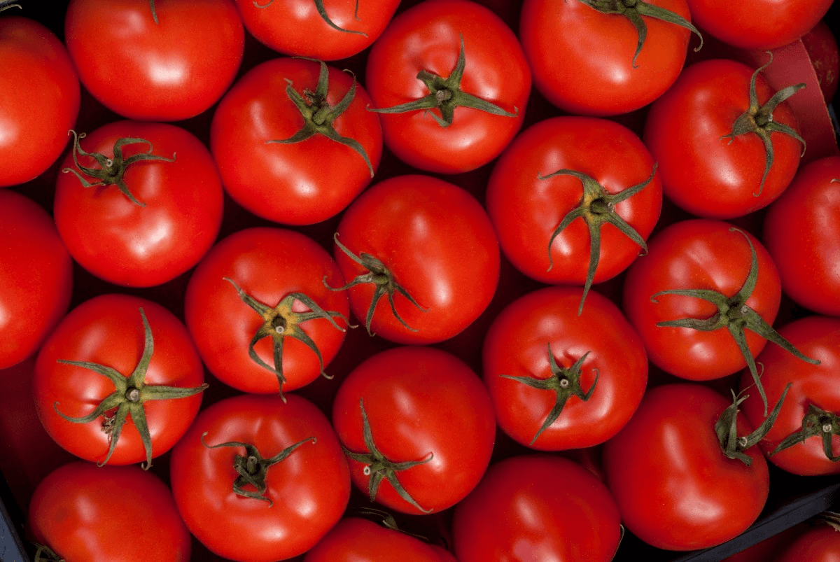 Bayer tackles vitamin D deficiency with gene-edited tomatoes and enhanced lettuce