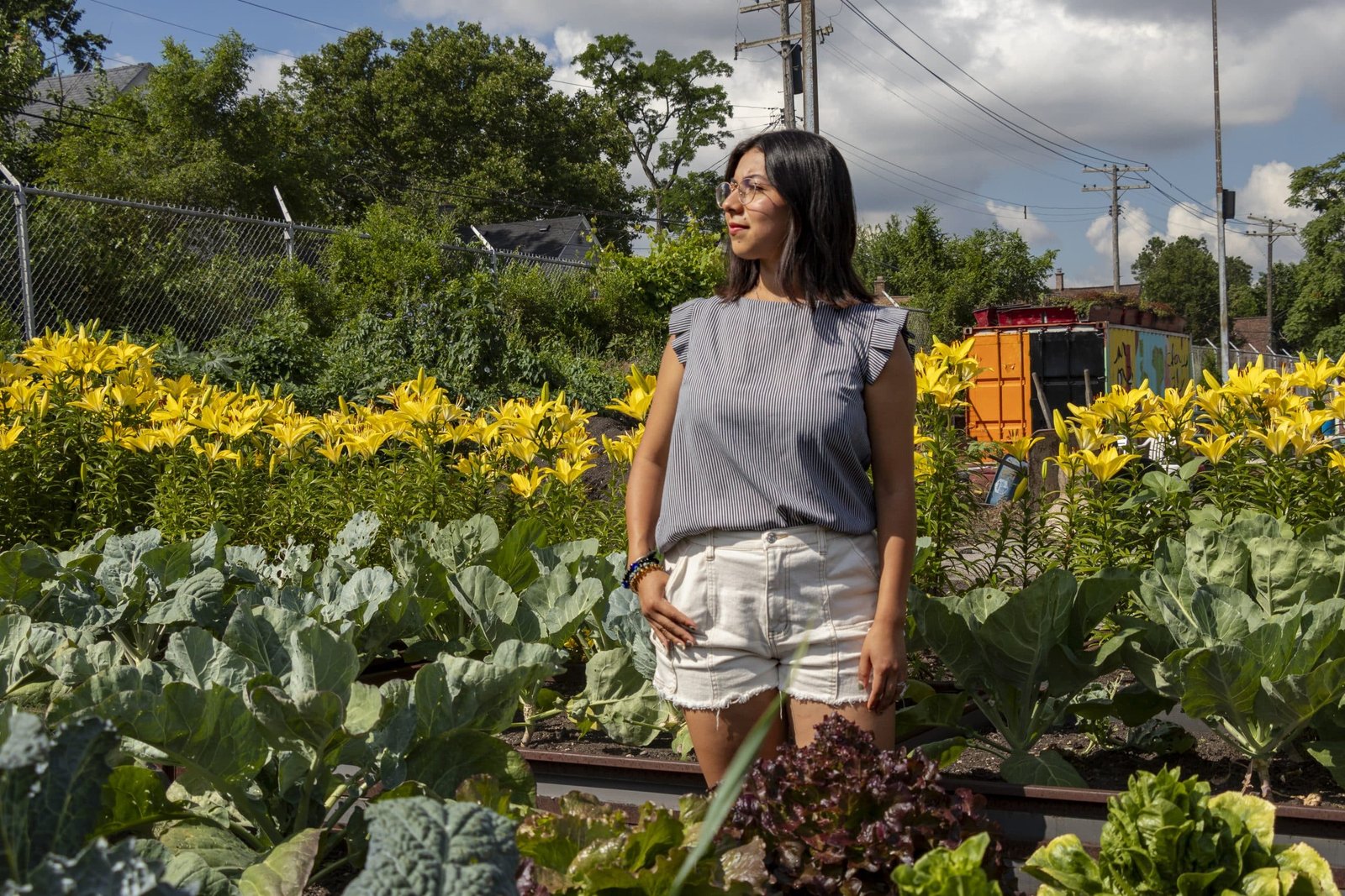 Cristo Rey students create cookbook from urban garden harvests – Planet Detroit