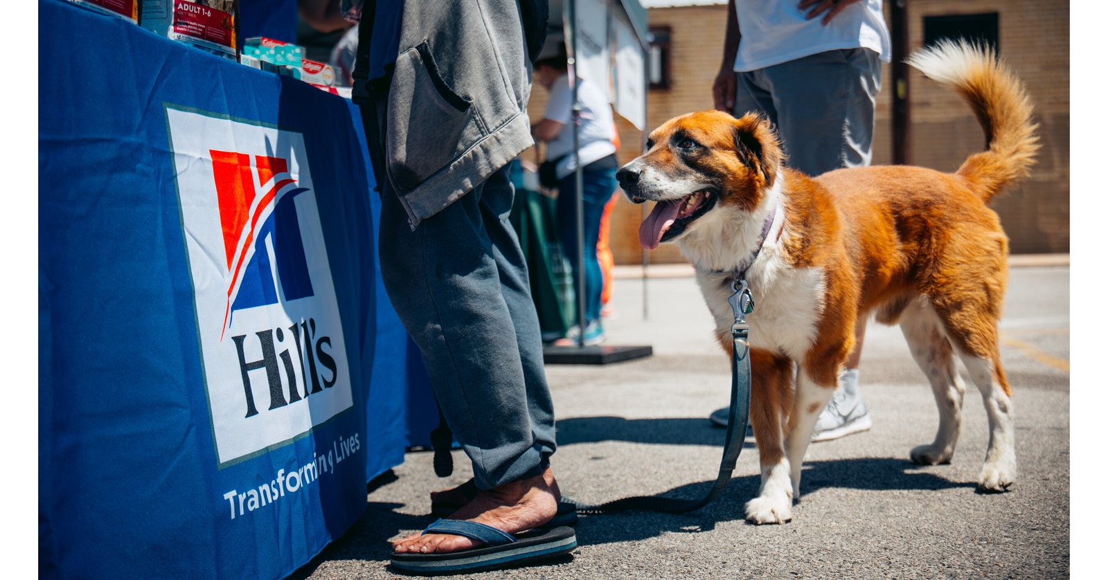 Hill’s Pet Nutrition and Colgate-Palmolive Partner with Street Dog Coalition to Improve Access to Care for Homeless People and Their Pets