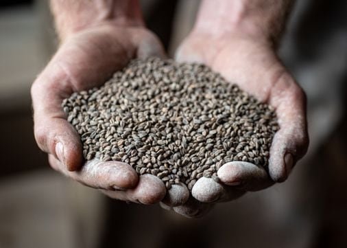 What you need to know about soba and how to use it