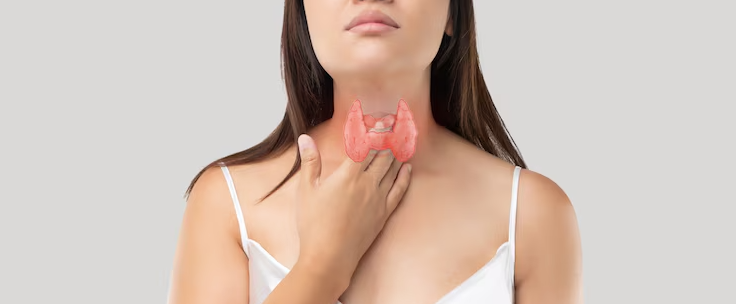 Vitamin D enhances muscle function in patients with iodine-131-induced hypothyroidism