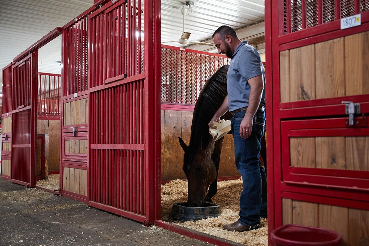 Purina Launches Probiotic Supplement and Microbiome Testing Kit