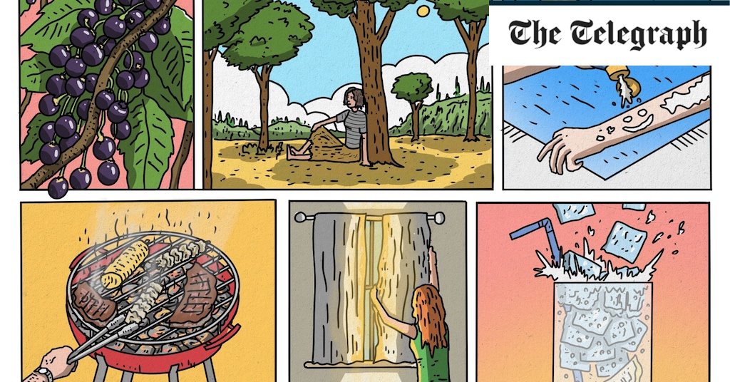 29 ways to stay healthy all summer long