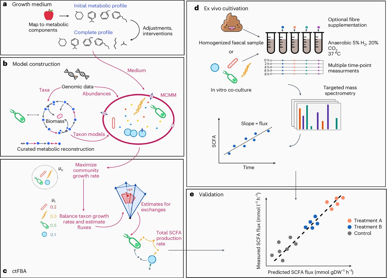 A new path to microbiome-based precision nutrition