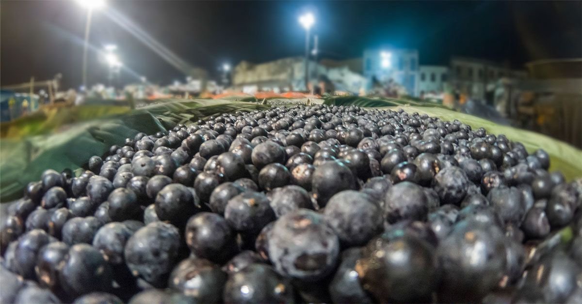 Health Benefits, Nutrition, Diet, and Risks