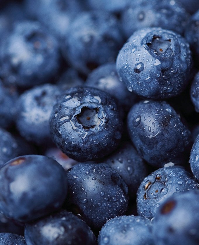 The nutritional benefits of blueberries
