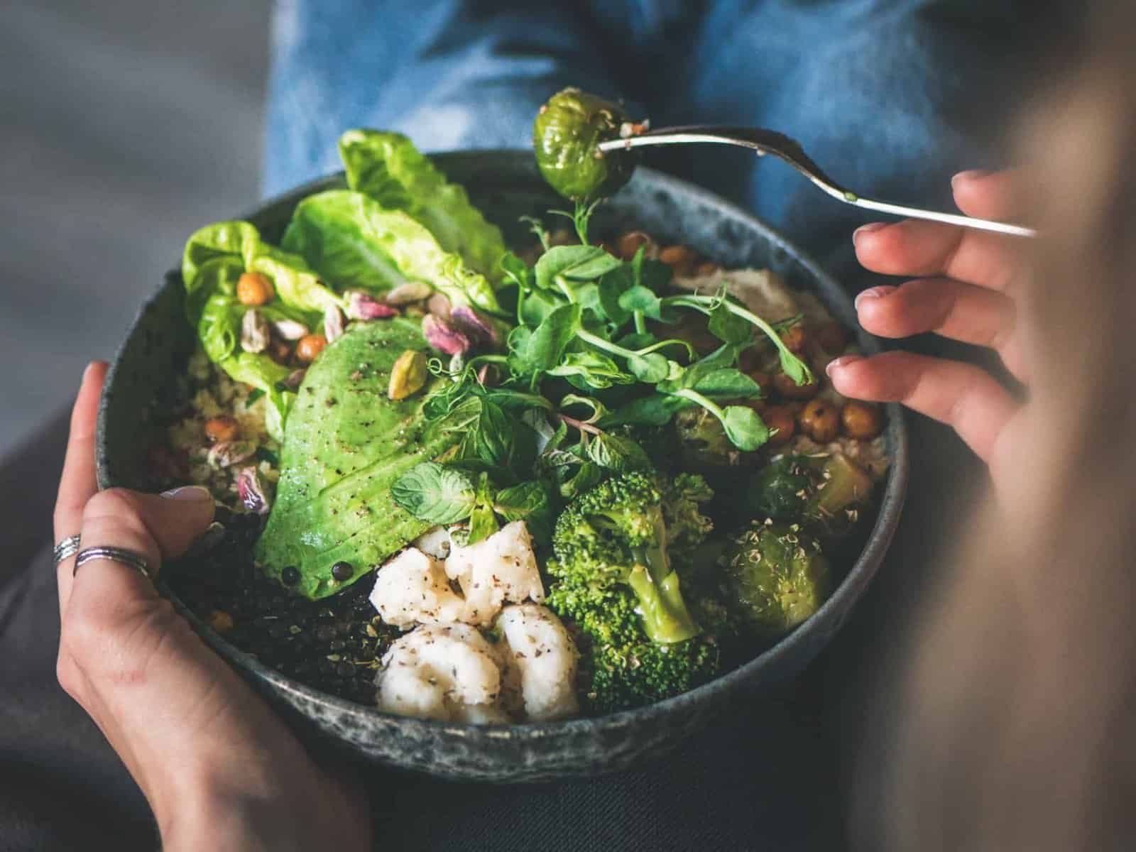 This is “the beginning of a new era in nutrition policy”: German scientific association DGE revises its stance on veganism – vegconomist