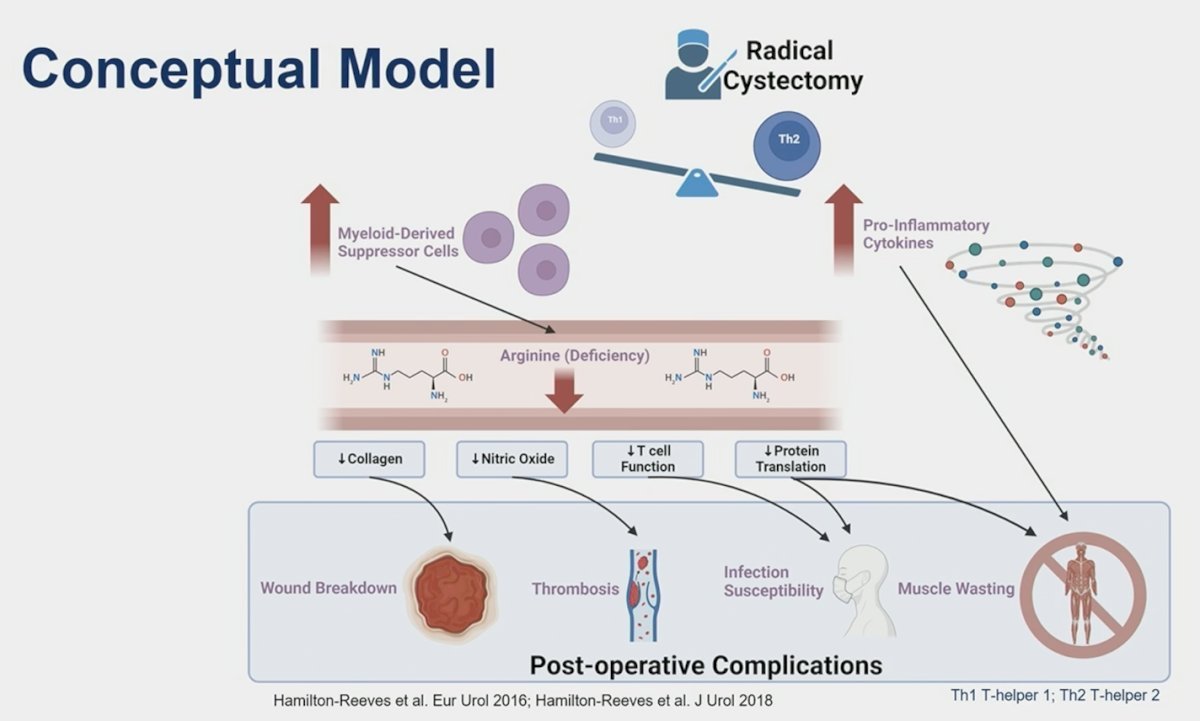 Main results of the randomized, double-blind, phase 3 clinical trial