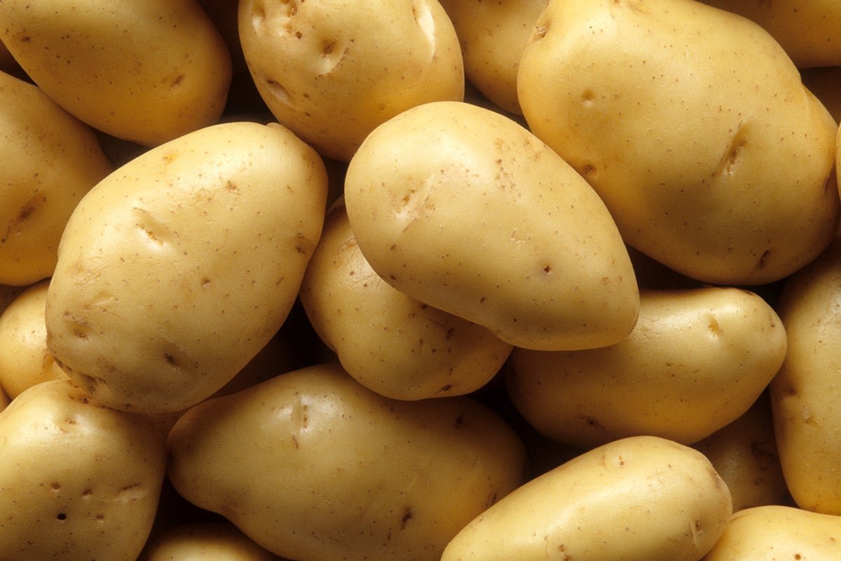 Are potatoes a healthy vegetable? | News