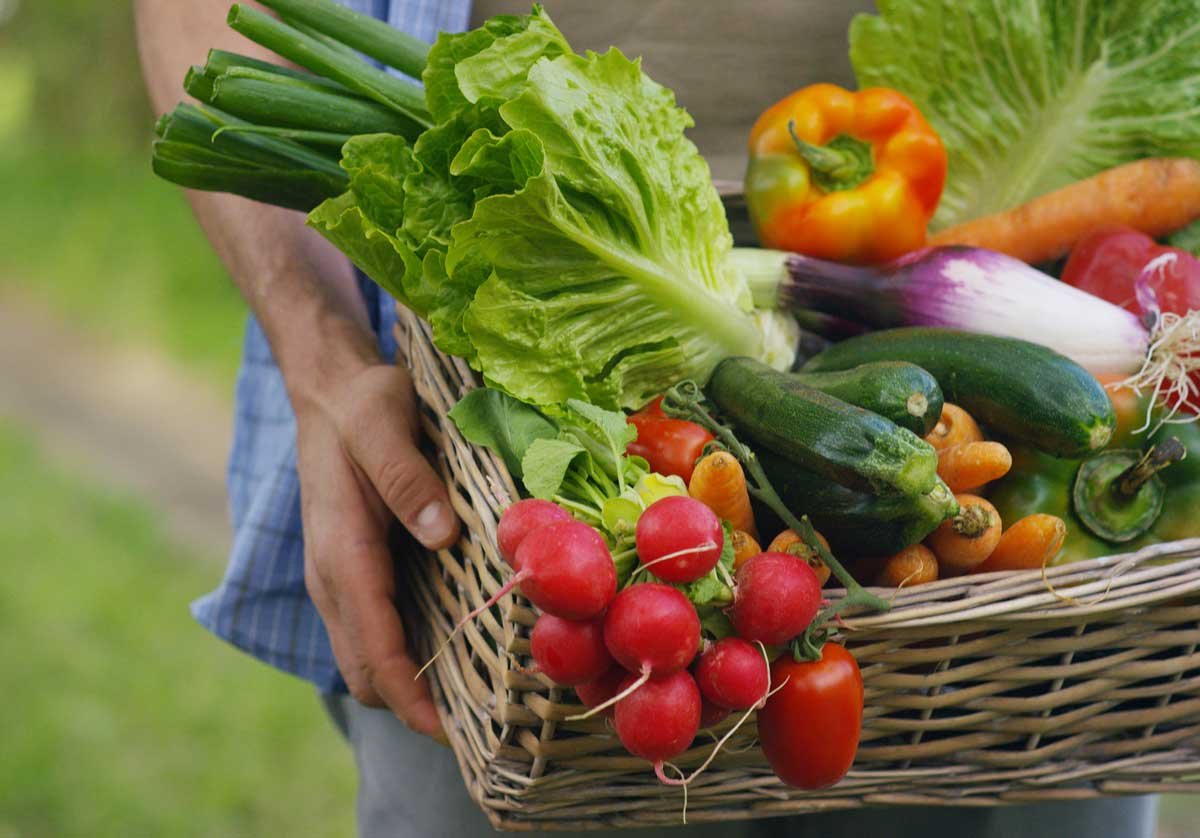 Nutritional knowledge – fresh, local food is nutritious