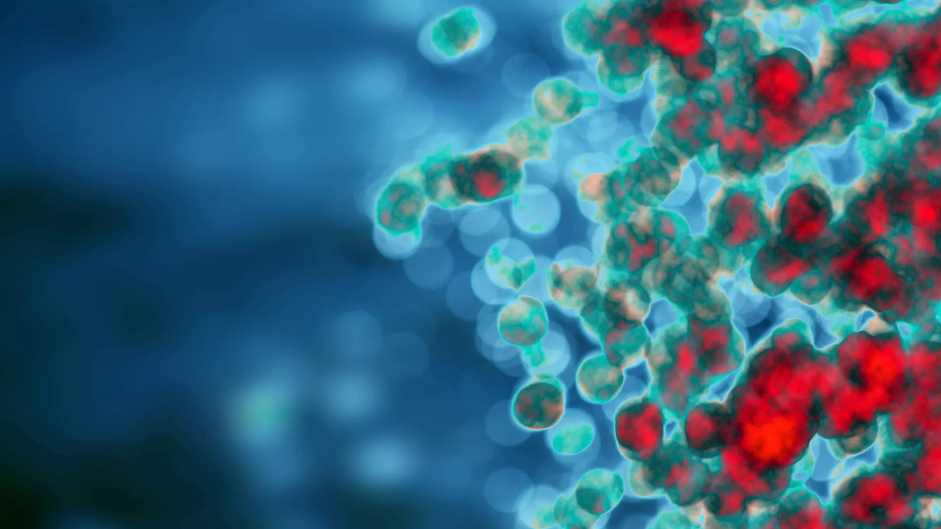 Research progress on the immunomodulatory mechanism of acupuncture in tumor immune microenvironment